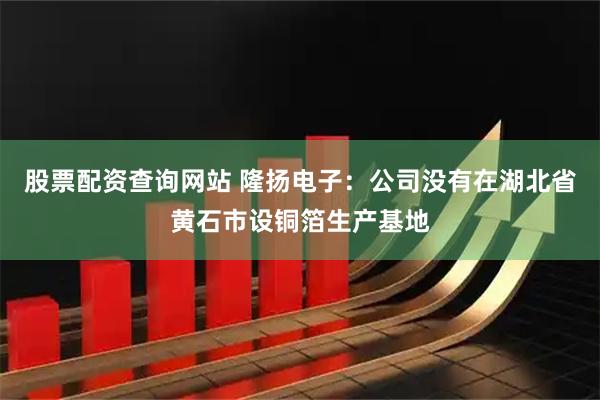 股票配资查询网站 隆扬电子：公司没有在湖北省黄石市设铜箔生产基地