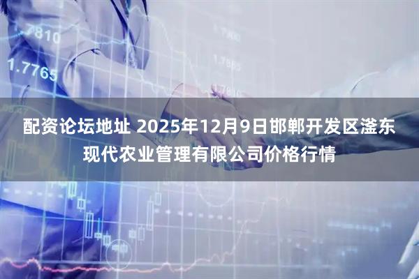 配资论坛地址 2025年12月9日邯郸开发区滏东现代农业管理有限公司价格行情
