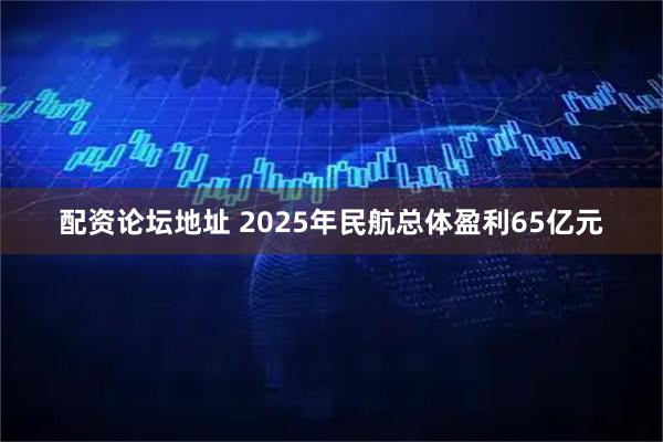 配资论坛地址 2025年民航总体盈利65亿元