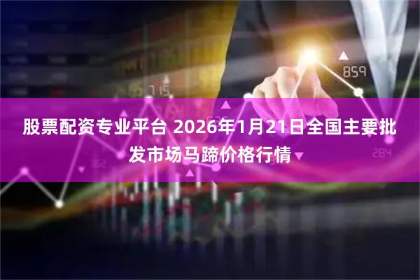 股票配资专业平台 2026年1月21日全国主要批发市场马蹄价格行情