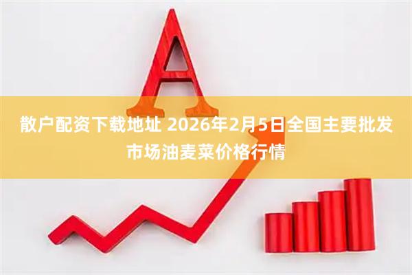 散户配资下载地址 2026年2月5日全国主要批发市场油麦菜价格行情
